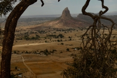 P1000696
