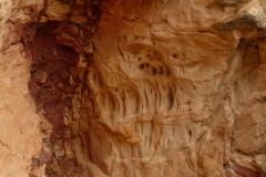 P1000712
