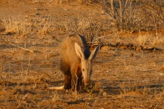 P1080966