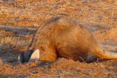 P1080982