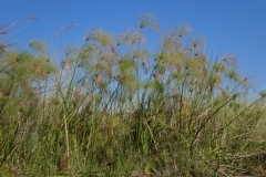 P1080352