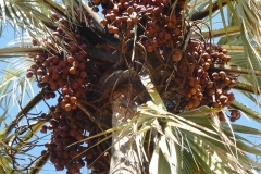 P1080375