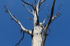P1080381