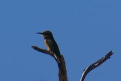 P1080387