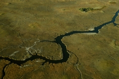P1080445