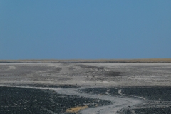 P1080491