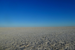 P1080495