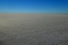 P1080501