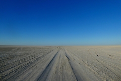P1080503