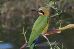 P1070054