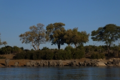 P1070090