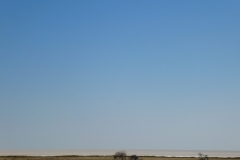 P1050610