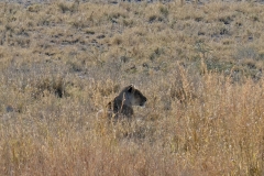 P1050670