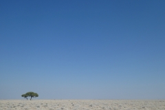 P1050368