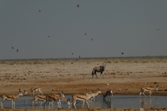P1050376