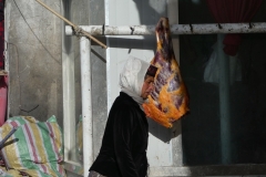P1060607