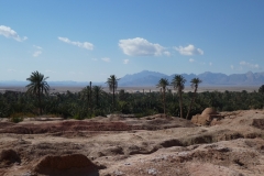 P1020869