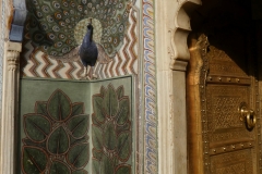 P1070696
