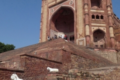 P1070818