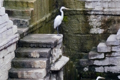 P1100046