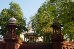 P1100098