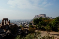 P1100102