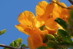 P1100105