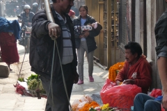 P1090061