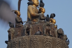 P1090078