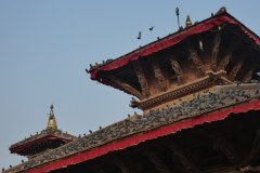 P1090079