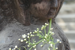 P1090117
