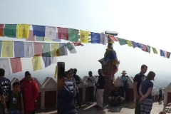 P1090128
