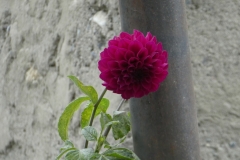 P1060941