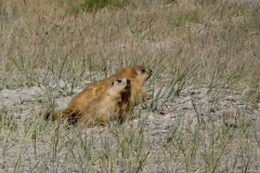 P1060230