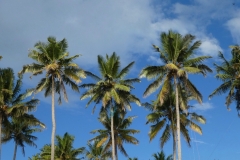 P1100532