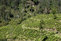 P1100987