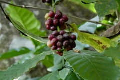 P1110170