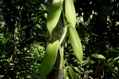 P1110176