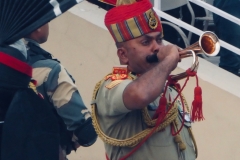 P1070561