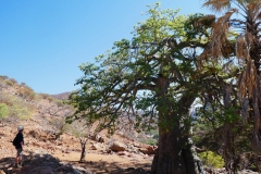 P1050115