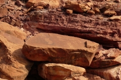 P1050031