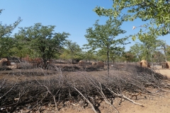 P1050077