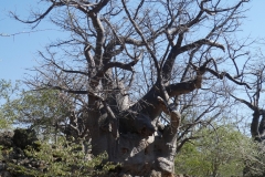 P1050068