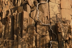 P1050058