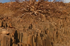 P1050061