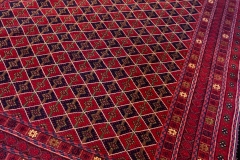 IMG_3668