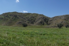 P1020987