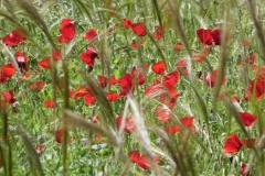 P1020989