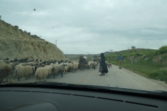 P1030020