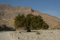 P1120673